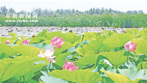 那木斯萊風(fēng)景區(qū).jpg